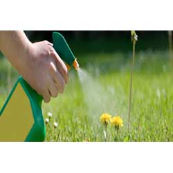 Agro Based Products