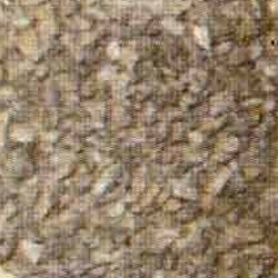Inoculant